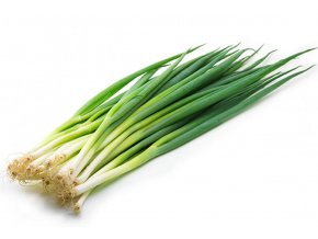 Frühlingzwiebel 100g Thai/ Union leaf / Veggie -