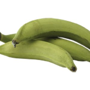 Grüne Babanen Preis/kg/ Plantain -