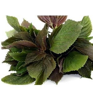 Perilla/ Tia To leaf 100g / Thai -