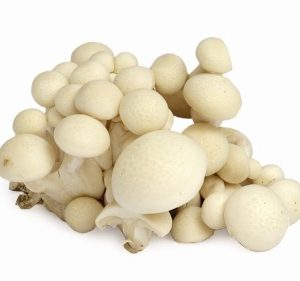 White Mushroom /weisse Pilze Shimaiji 150g