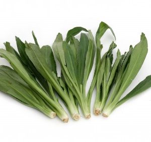 Europagras ( Lange Coriander) 100g/ Thai -