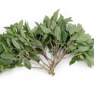 Basilikum Süß Frisch 100g /Thai