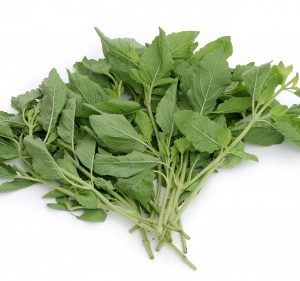Basilikum  Scharf  Frisch 100g/ Thai -