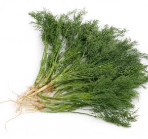Dill (Thia la) 100g  / Thai -