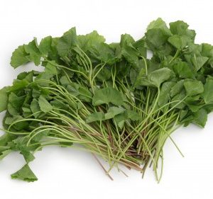 Asiatischer Wassernabel 100g Thai