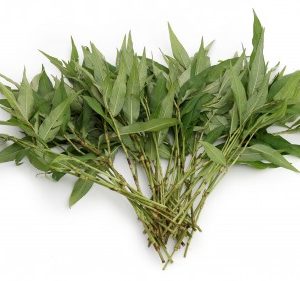 Prewleaf (Rau Răm)100g Thai
