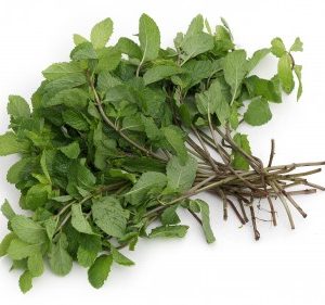 Pfefferminz 100g Thai /Mint